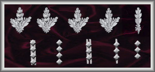 Insignia of the Honorary SS Members